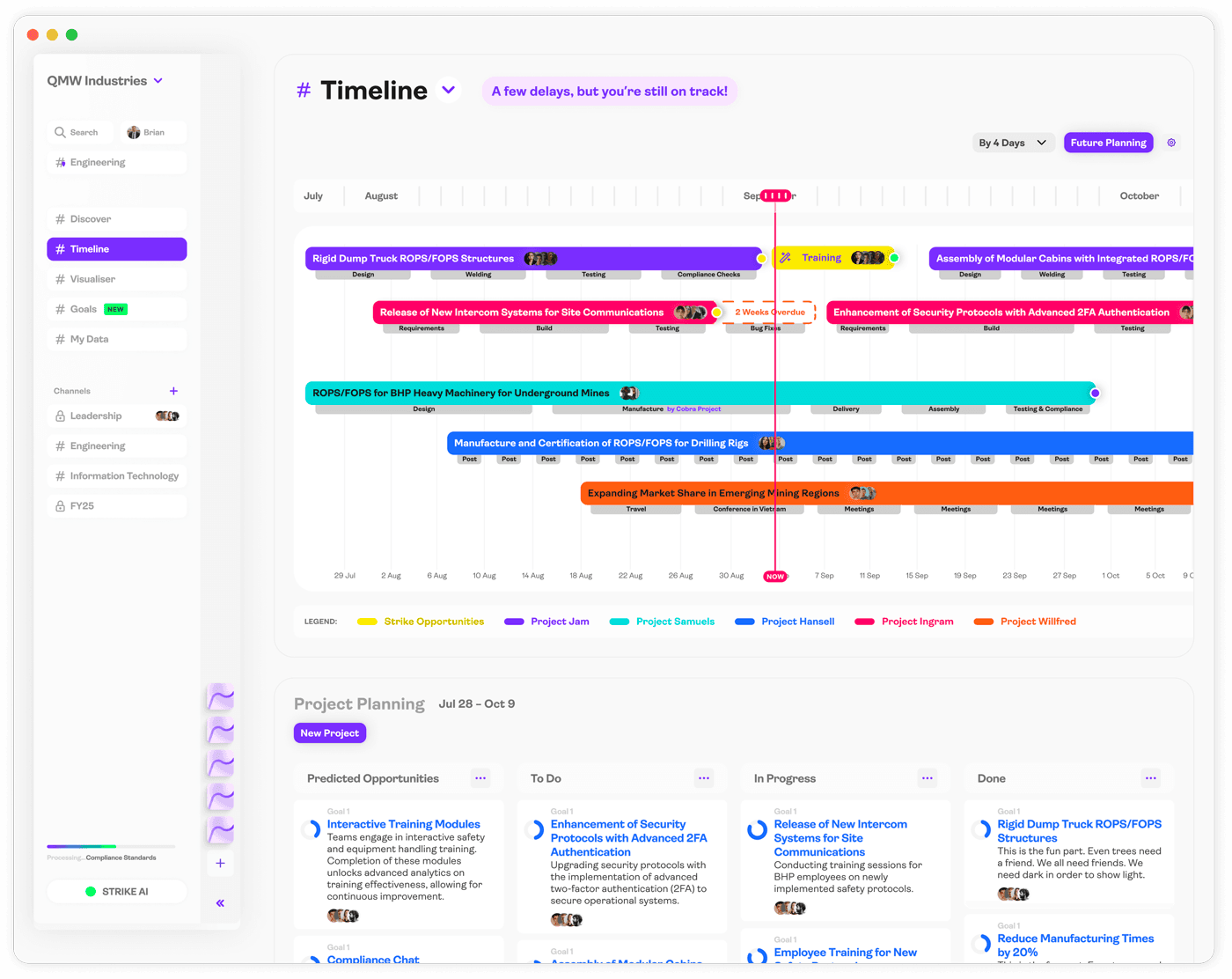 Strike opportunity planning interface